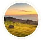 clip_image002 https://mmbiz.qpic.cn/mmbiz_jpg/bWutsMvgQlnvsC2xx2b7Us0vXgIx9NDVF1TDStWIyYpkLgfUhoJmG0butIAuI8dzaB9XsJQISNxTFneeYPadqg/640?wx_fmt=jpeg