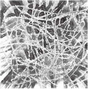 pagenumber_ebook=70,pagenumber_book=63