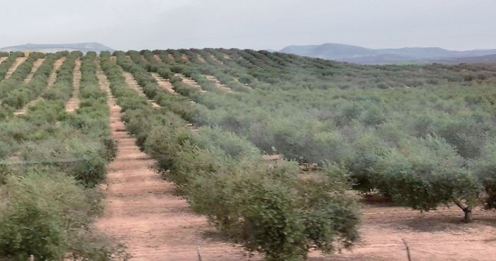 pagenumber_ebook=86,pagenumber_book=85