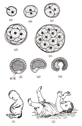 pagenumber_ebook=241,pagenumber_book=237