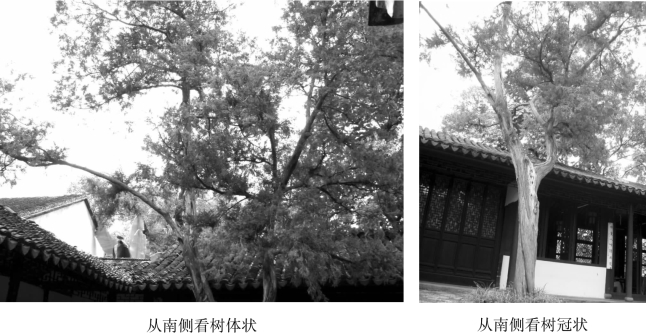 pagenumber_ebook=124,pagenumber_book=124