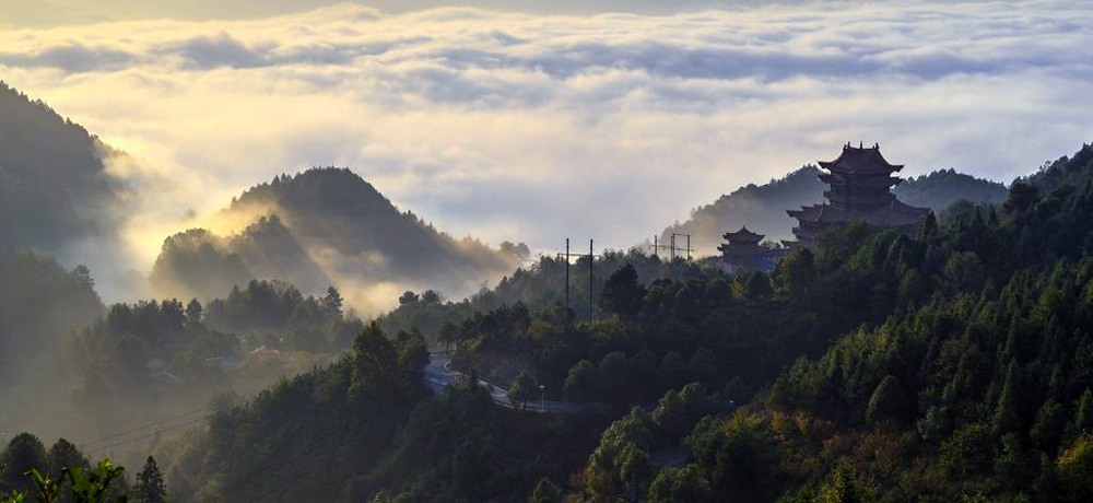 08f3c5cda96e4651aab2fead9e2448b0 08f3c5cda96e4651aab2fead9e2448b0.jpeg