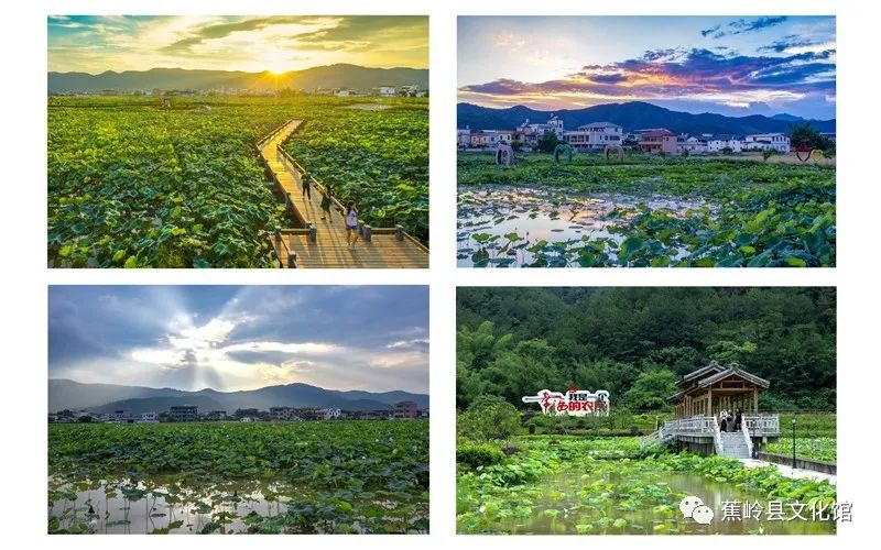 微信图片_20220804151855 微信图片_20220804151855.jpg?v=1766027747636