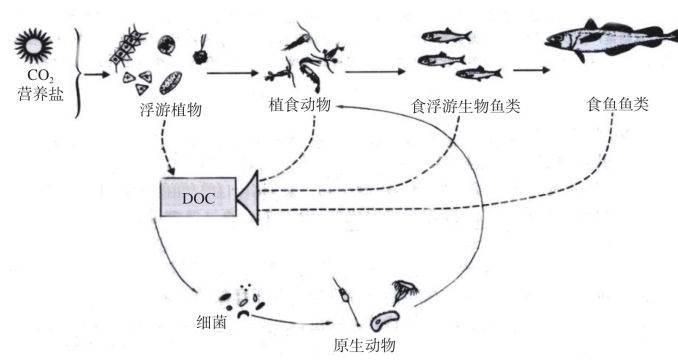 pagenumber_ebook=131,pagenumber_book=113