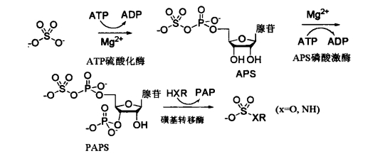 pagenumber_ebook=570,pagenumber_book=552