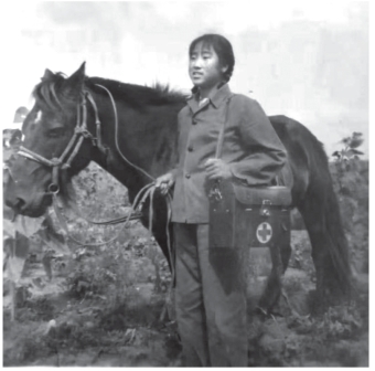 pagenumber_ebook=516,pagenumber_book=504