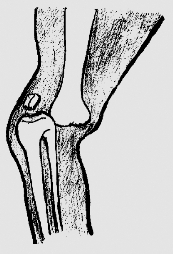 pagenumber_ebook=143,pagenumber_book=130