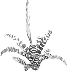 pagenumber_ebook=280,pagenumber_book=280