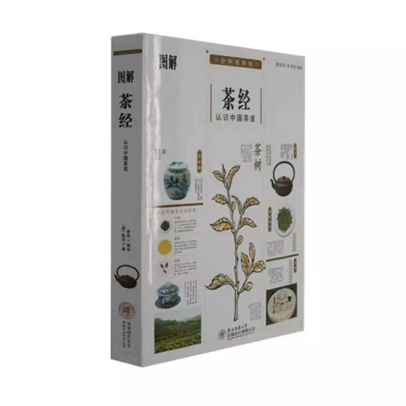 6茶文化展4 6茶文化展4