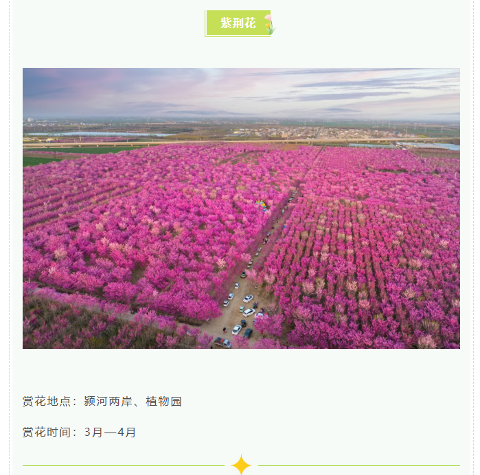 d0dcb41a3d3ee0df0f2df89bb637f646png