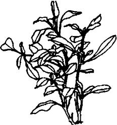 pagenumber_ebook=252,pagenumber_book=252