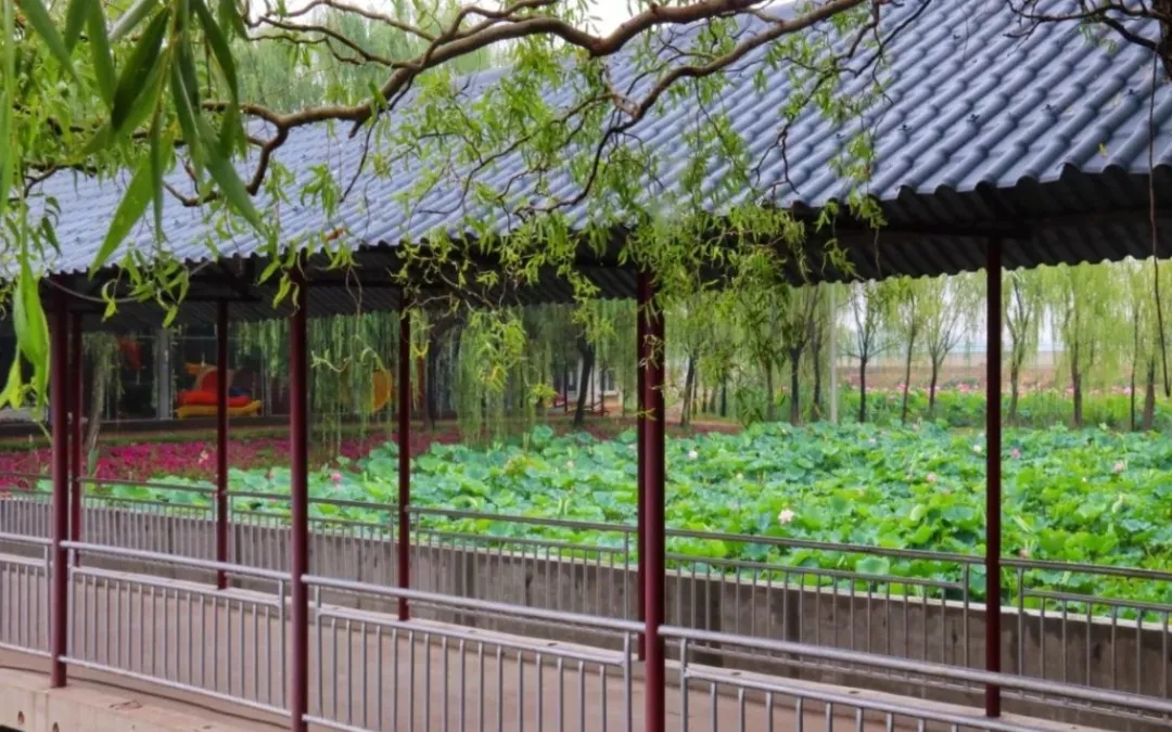 640.webp (2) 640.webp (2).jpg