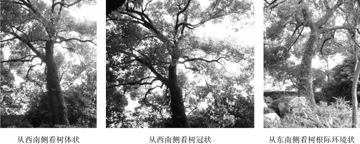 pagenumber_ebook=127,pagenumber_book=127