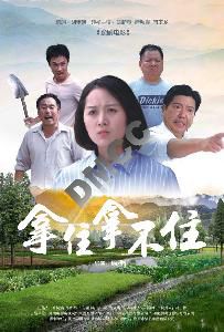 【茌平区】农村公益电影放映预告