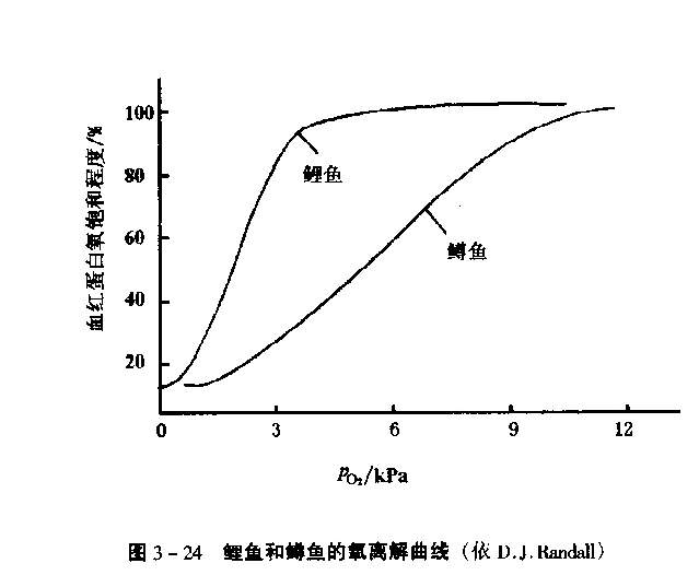 鲤鱼和鳟鱼的氧离曲线.jpg