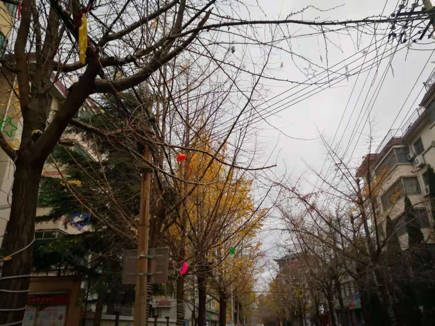 5c08021c2f4727fdaa64a10a78231c9