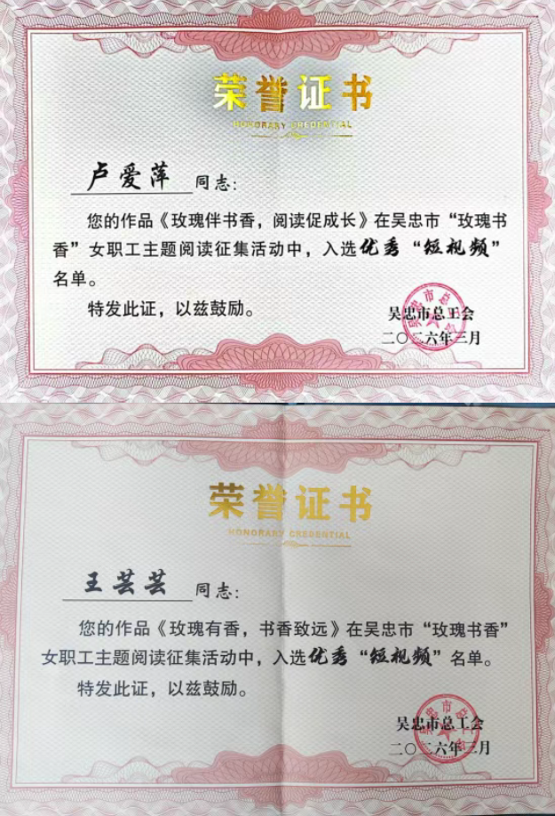 image.png?v=1775051133288