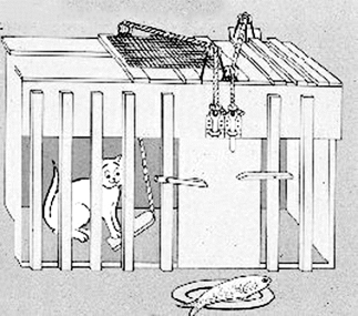 pagenumber_ebook=36,pagenumber_book=29