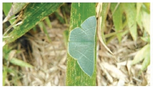 pagenumber_ebook=24,pagenumber_book=16