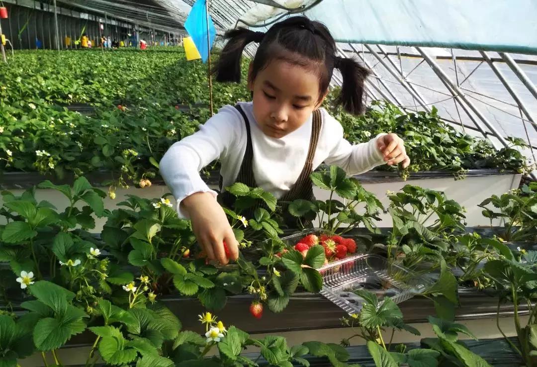 微信图片_20201225100251 微信图片_20201225100251.jpg