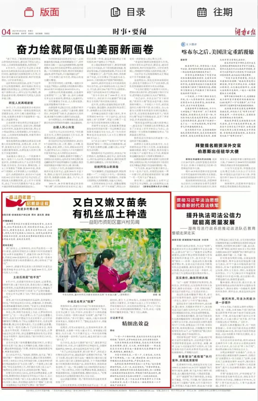 1 1.jpg?v=1765880882746