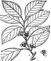 pagenumber_ebook=95,pagenumber_book=95