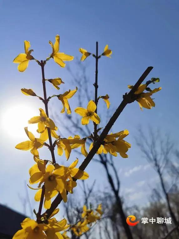 微信图片_20210308084912 微信图片_20210308084912.jpg