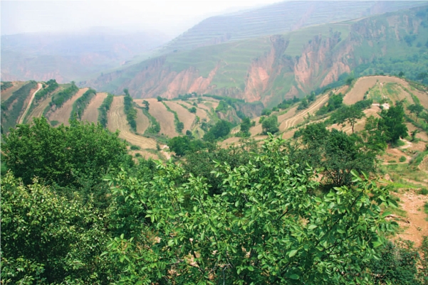 pagenumber_ebook=91,pagenumber_book=81