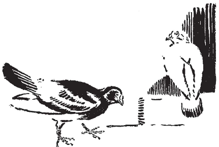 pagenumber_ebook=89,pagenumber_book=81