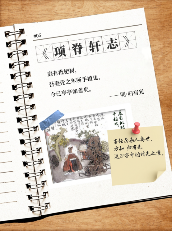 image.png?v=1757808780911