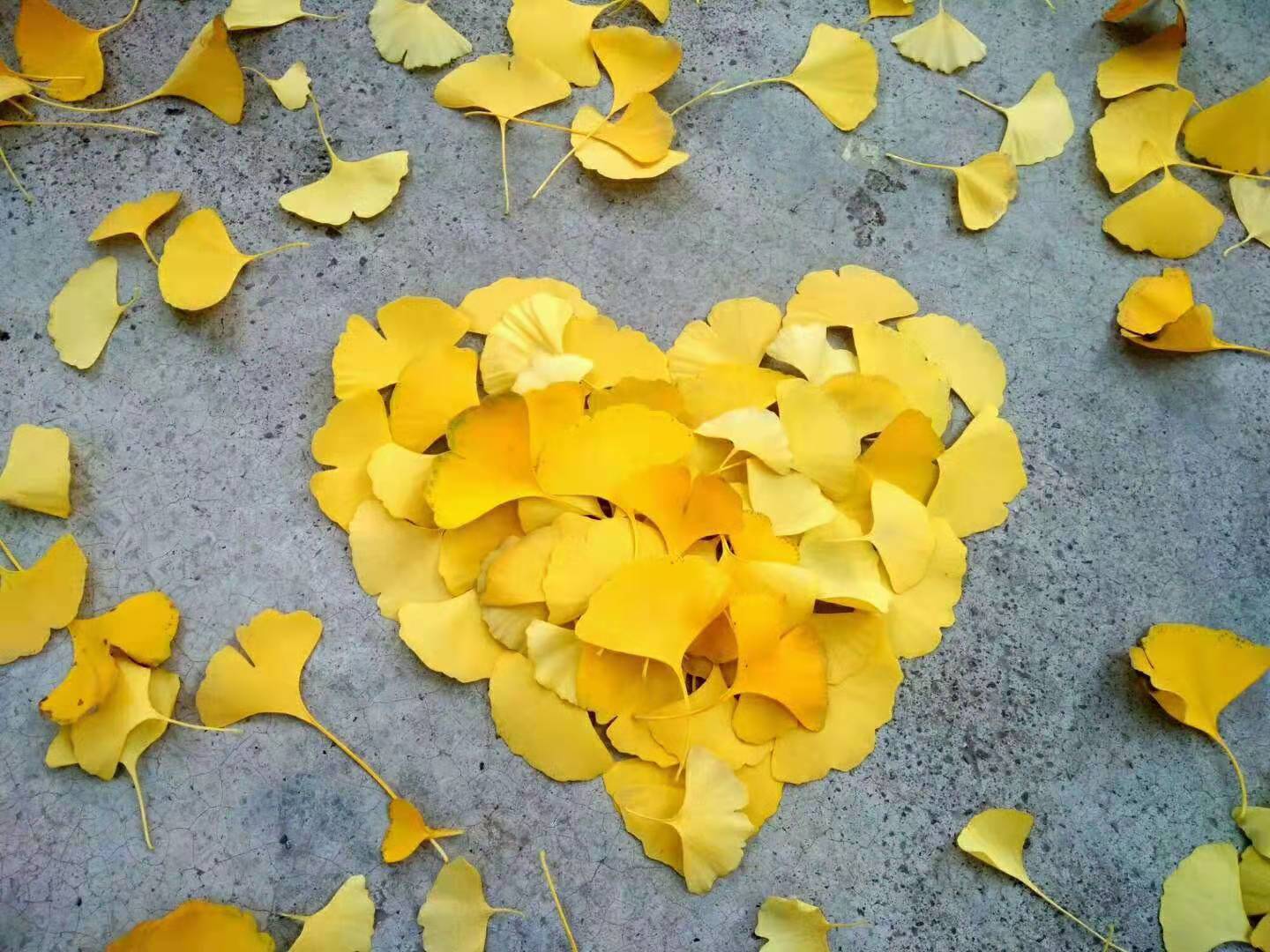 41c207b927c8e01cd8bcc5b8d75f854 41c207b927c8e01cd8bcc5b8d75f854.jpg