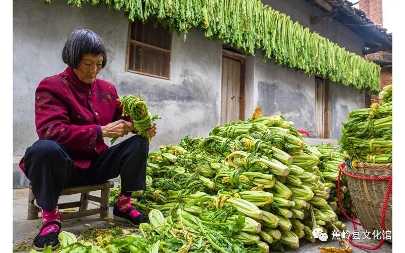 3 3.jpg?v=1765891042459