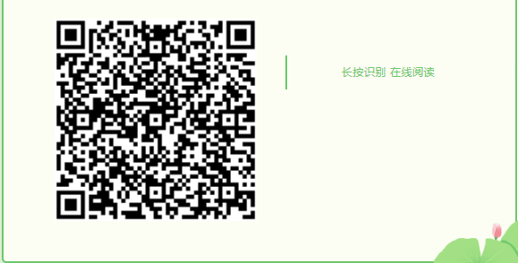 image image.png?v=1763574337440