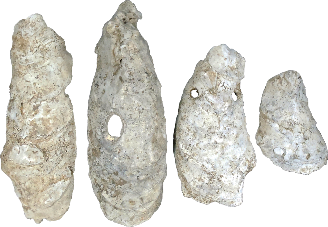 微信图片_20220505094504 微信图片_20220505094504.png