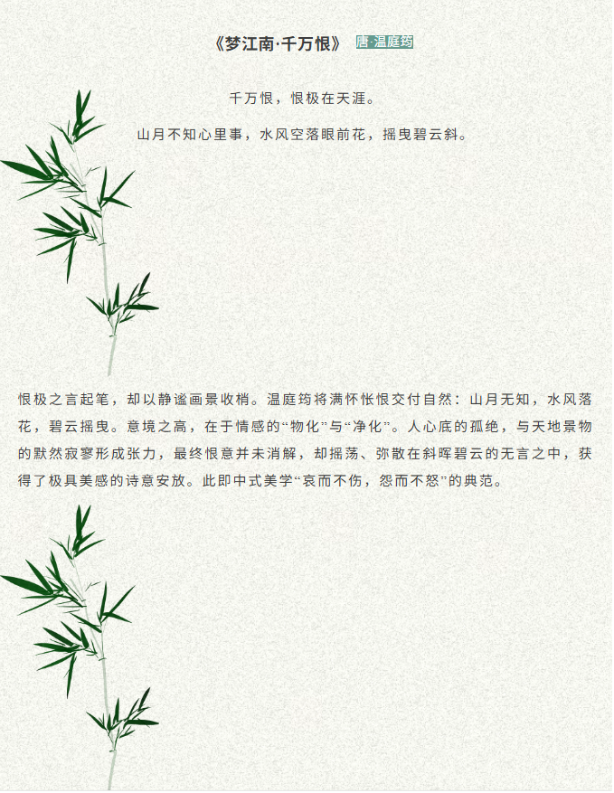 image.png?v=1774110504356