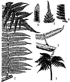 pagenumber_ebook=284,pagenumber_book=284