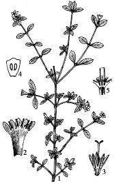 pagenumber_ebook=177,pagenumber_book=177