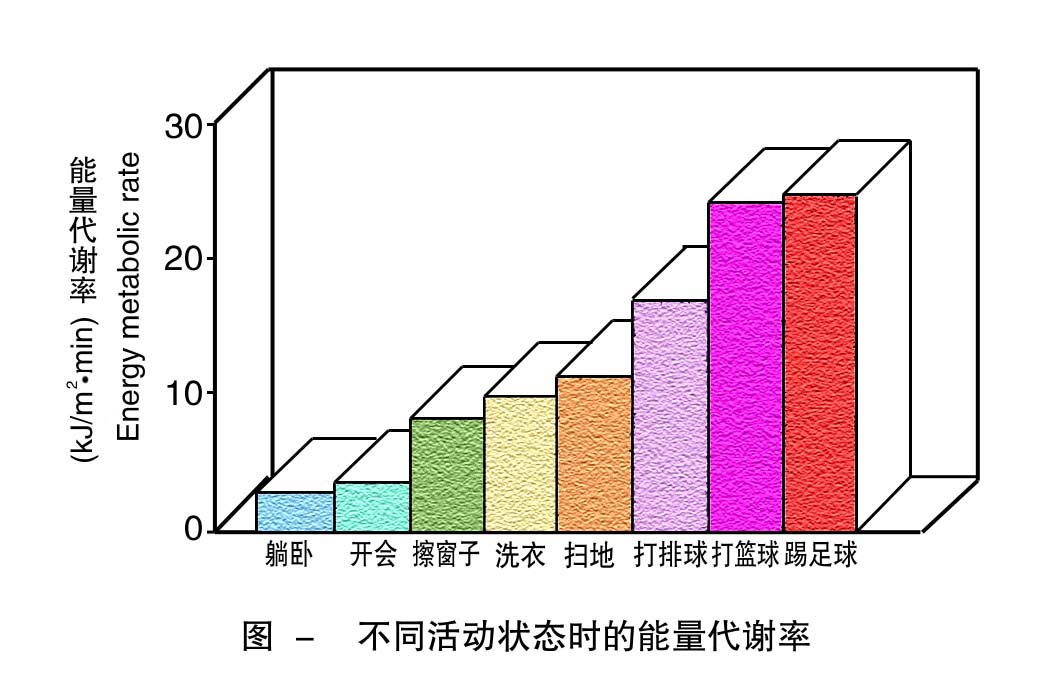 6-不同活动状态时的能量代谢 .jpg