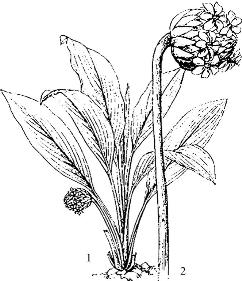 pagenumber_ebook=253,pagenumber_book=253