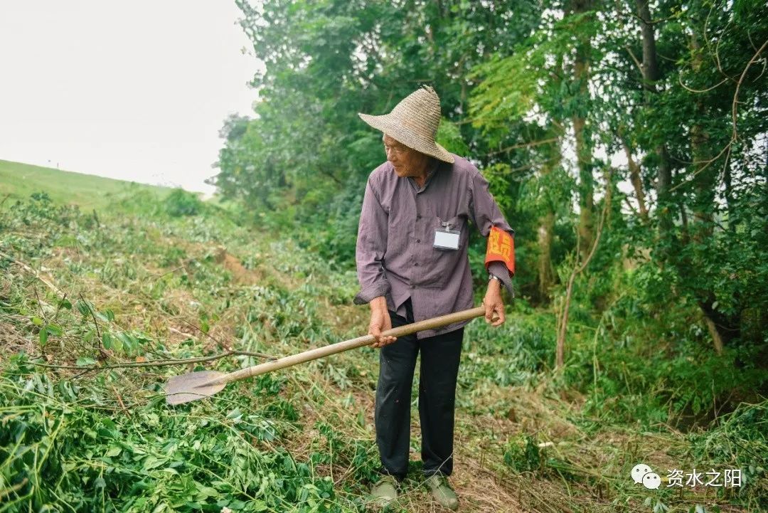 4 4.jpg?v=1765946446483