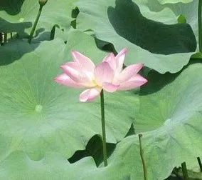 image image.png?v=1770180507670