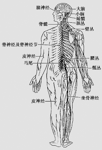 pagenumber_ebook=36,pagenumber_book=23