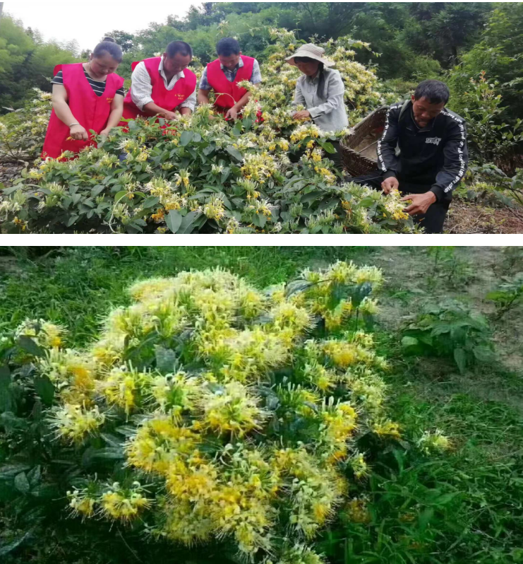 1732262007083 1732262007083.png