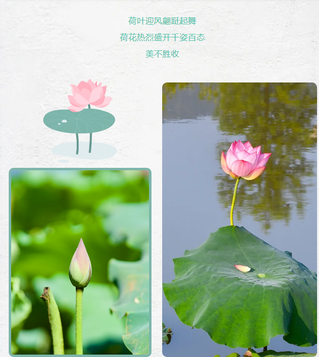 c93a3e466be6f7fbf4aaa80c9745f77.png