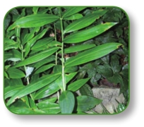 pagenumber_ebook=286,pagenumber_book=273