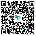 image image.png?v=1770186055182