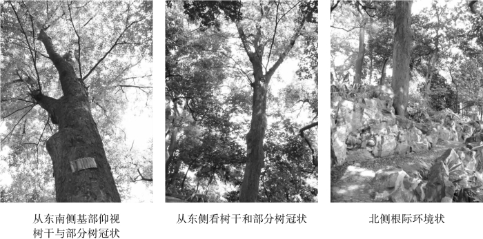 pagenumber_ebook=125,pagenumber_book=125