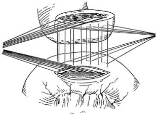 pagenumber_ebook=135,pagenumber_book=120