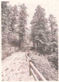 pagenumber_ebook=31,pagenumber_book=17