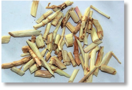 pagenumber_ebook=165,pagenumber_book=152